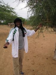 01 Al Ousseini Prelevant Des Cure Dents Du Sahel